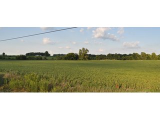 Property photo 6 - 204.5 +/- Acres Offered in 3 Tracts - Farmland Auction